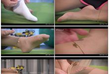 [Ligui丽柜] 2017.12.16 HD视频 楠楠 [1V/178M]-爱图屋