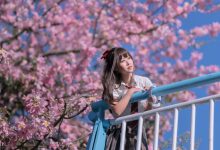 [YITUYU艺图语]2023.02.19 异木棉花 萌芽儿o0[27+1P／442MB]-爱图屋