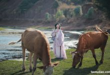 [YITUYU艺图语]2023.04.09 去随青草牧春牛 瑜瑾[24+1P／524MB]-爱图屋