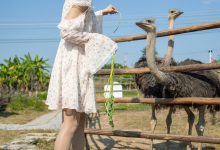 [尤蜜丝]穿搭写真 NO.086[76P／400MB]-爱图屋