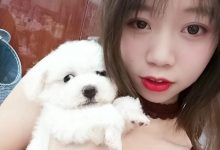 鱼鱼足影 NO.056 - 长沙幼师[26P／59MB]-爱图屋