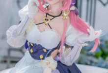 大大卷卷小卷 –  崩坏3 爱莉希雅女仆 [29P-169MB]-爱图屋