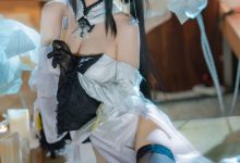 大大卷卷小卷 –  碧蓝航线 镇海原皮[24P-187.2M]-爱图屋