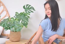 [SSA丝社]短片 NO.0164 君君 浪莎肤色丝袜[1V／525MB]-爱图屋