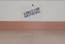 芝士好椰 NO.097 – 听！把麦克风别在鞋上！黑色维莉雅 [MOV-494MB]-爱图屋