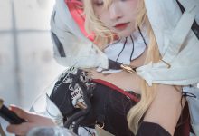 一千只猫薄禾 – 烛骑士 薇薇安娜 [12P-124MB]-爱图屋