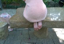 [MussGirl]慕丝女郎视频 No.027 人气网红主播月亮姐姐有幸约得户外拍摄 [MP4-3.00GB]-爱图屋