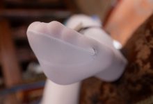 Sayako今年四岁-原神-珐露珊[38P-796MB]-爱图屋