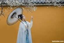 [YITUYU艺图语]2023.03.15 青梅 阡墨红尘[27+1P／580MB]-爱图屋