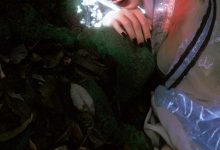 [YITUYU艺图语]2023.03.12 寻梦记·彼时蝶 阿了个戚[22+1P／406MB]-爱图屋