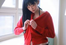 Sula-Christmas present-146P+1V-2.44G]-爱图屋