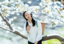 [YITUYU艺图语]2021.12.27 故乡的小燕子 欢欢[35+1P／588MB]-爱图屋