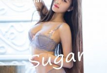 [LeYuan星乐园] 2017.02.15 VOL.028 杨晨晨sugar [51+1P]-爱图屋