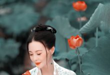 [YITUYU艺图语] 2021.08.16 采莲曲 莲 [31P-280MB]-爱图屋