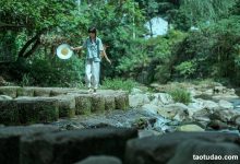 [YITUYU艺图语]2022.01.08 处暑 初茶[34+1P／934MB]-爱图屋