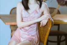 许岚 NO.009 — 半透粉纱[40P-836MB]-爱图屋
