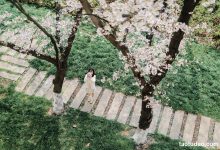 [YITUYU艺图语]2023.04.18 樱花教室 萌伊伊[32+1P／368MB]-爱图屋