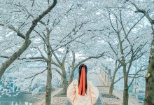 [YITUYU艺图语]2022.02.24 等一场春暖 待一树花开 阿紫[19+1P／235MB]-爱图屋