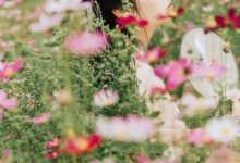 [YITUYU艺图语]2021.09.03 繁花孤影 茶茶[23+1P／280MB]-爱图屋
