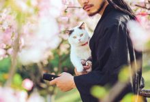 [YITUYU艺图语]2021.09.04 猫侍 邱风[30+1P／311MB]-爱图屋