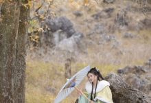 [YITUYU艺图语]2023.02.05 枫 秋哒哒--[24+1P／276MB]-爱图屋