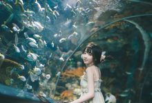 [YITUYU艺图语]2022.04.15 海洋水族馆 丸子[20+1P／413MB]-爱图屋