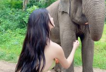 就是阿朱啊 -  人与自然 [16P-205MB]-爱图屋