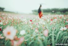 [YITUYU艺图语]2023.04.26 花语 小温暖想要个大太阳 [23+1P／231MB]-爱图屋