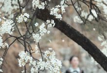 [YITUYU艺图语]2023.05.07 十里春风梨花如雨 薇薇[49+1P／828MB]-爱图屋