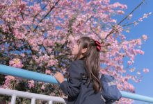 萌芽儿 - NO.26 异木棉花 [27P-436MB]-爱图屋