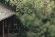[YITUYU艺图语]2022.07.12 入江南 辛冉[32+1P／356MB]-爱图屋
