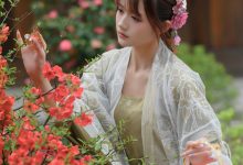 兔子Zzz不吃胡萝卜 - NO.73 宫墙柳 [43P-445MB]-爱图屋