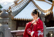 兔子Zzz不吃胡萝卜 - NO.79 深宫雪 [27P-260MB]-爱图屋