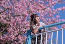 萌芽儿 -  异木棉花 [27P-436MB]-爱图屋