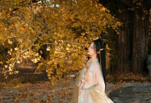 [YITUYU艺图语]2022.12.12 银杏树下 旺旺小小舒[38+1P／467MB]-爱图屋