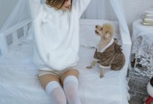 [YITUYU艺图语]2022.12.17 温馨少女与宠物们 兔子Zzz不吃胡萝卜[23+1P／371MB]-爱图屋