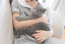 [轻兰映画]SPL.014[110P／875MB]-爱图屋