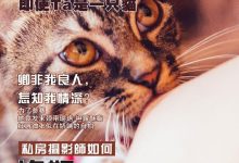 [108酱TV]日系系列 2016.09.01 妮小妖-女仆黑丝诱惑 [1V]-爱图屋